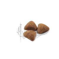 Royal Canin Indoor Long Hair Cat Food For Adult 2Kg