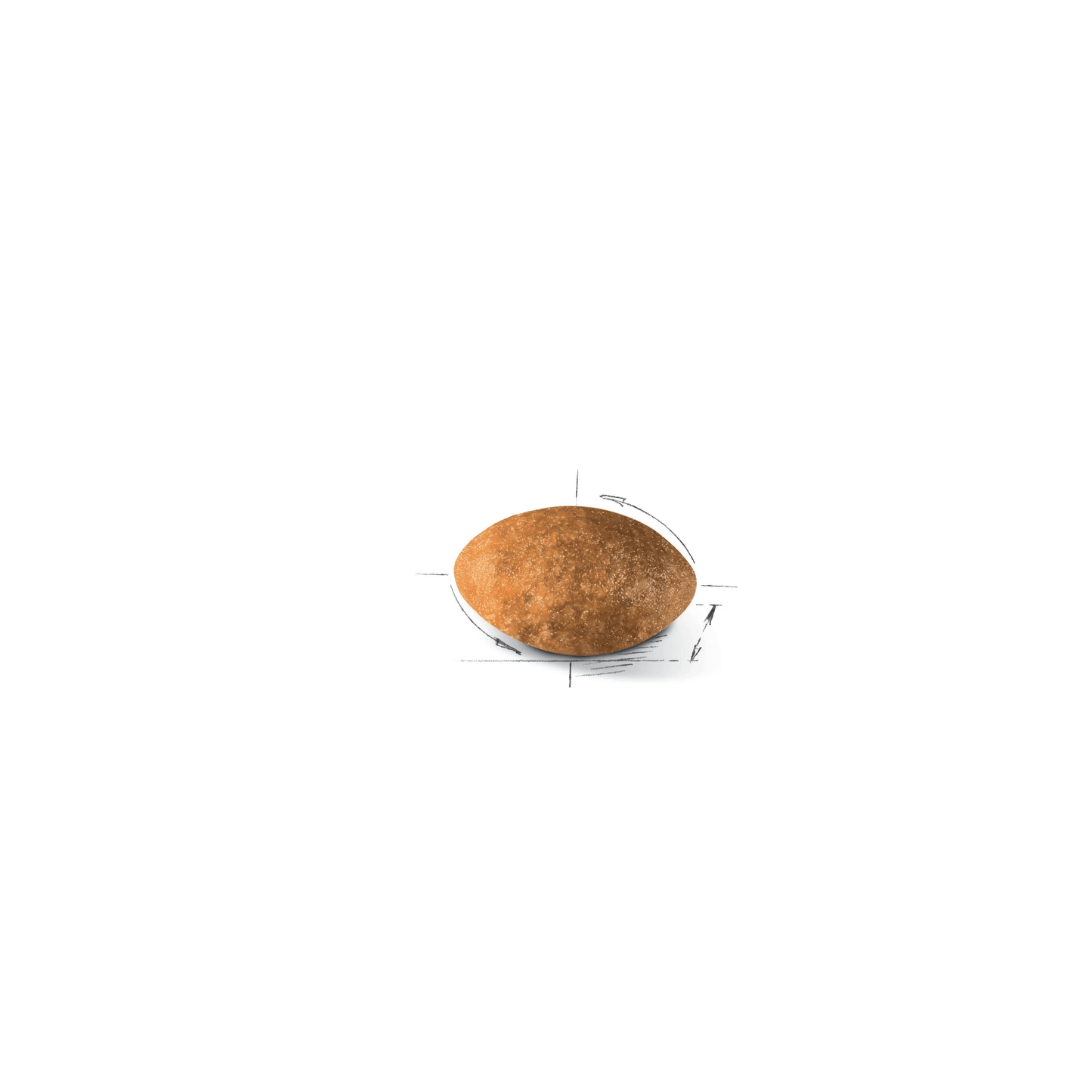 Royal Canin Persian Adult Dry Cat Food 2kg