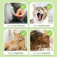 Cat Grass Teething Sticks, Cat Grass Sticks for Hairball Removal, Teeth Cleaning, Increase Appetite Chicken Flavor for Pet Cat (30g) 6pcs