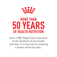 Royal Canin Persian Adult Dry Cat Food 2kg