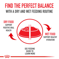Royal Canin Persian Adult Dry Cat Food 2kg