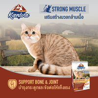 Kaniva Growth & Balance Formula Chicken, Egg & Rice Cat dry Food for Adult & Kitten, Over 2 Months 2.8kg