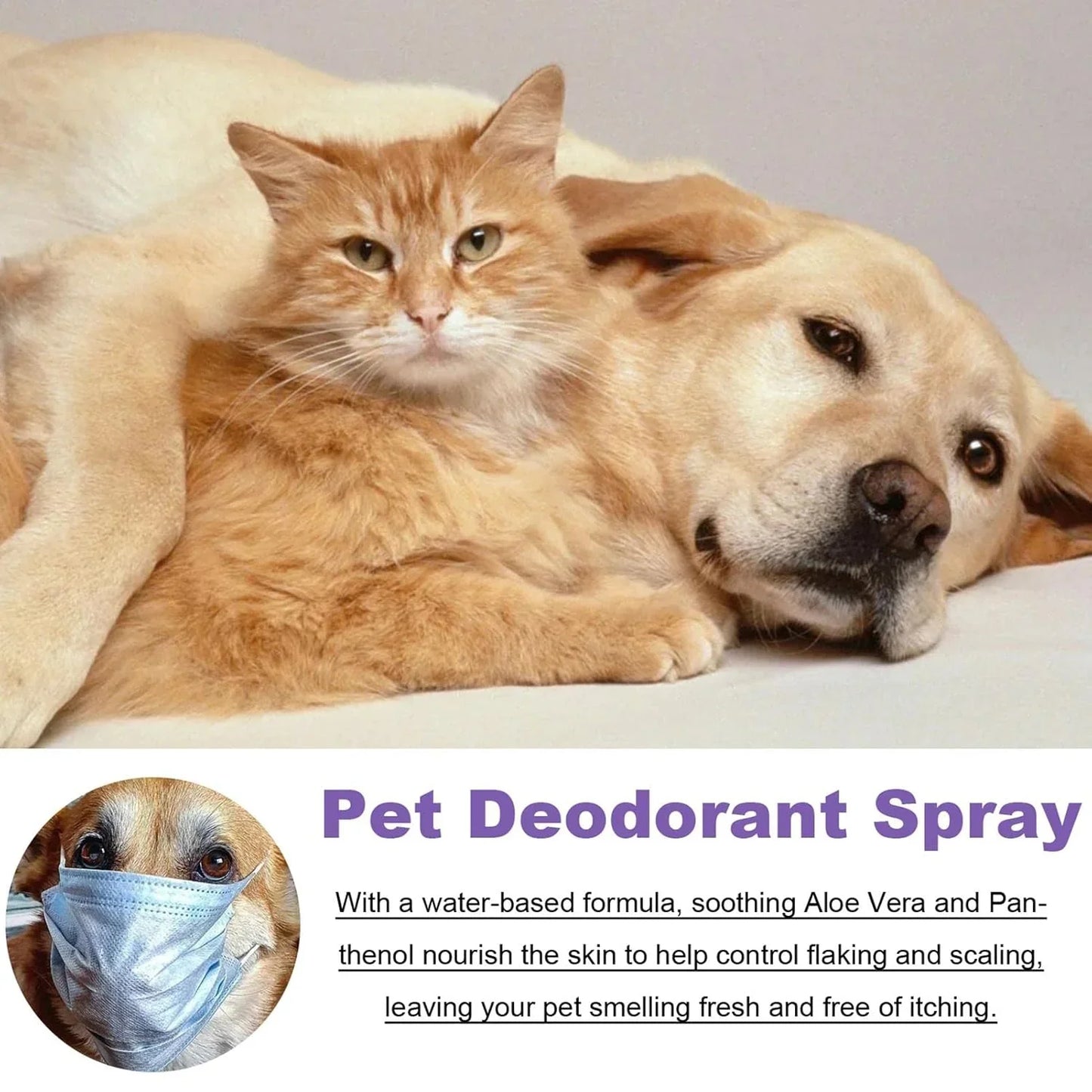 Pet Deodorant Spray, Anti-Itch Natural Conditioning Scented for Refreshes Deodorizes Daily Long Lasting Odor Spray for Cats and Dogs 50ml
