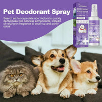 Pet Deodorant Spray, Anti-Itch Natural Conditioning Scented for Refreshes Deodorizes Daily Long Lasting Odor Spray for Cats and Dogs 50ml