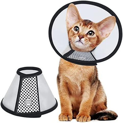 Ecollar / Sergical Collar- Elizabeth Collar for Dogs Cats