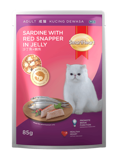 SmartHeart Adult Pouch Cat Wet Food Sardine with Red Snapper In Jelly 85g