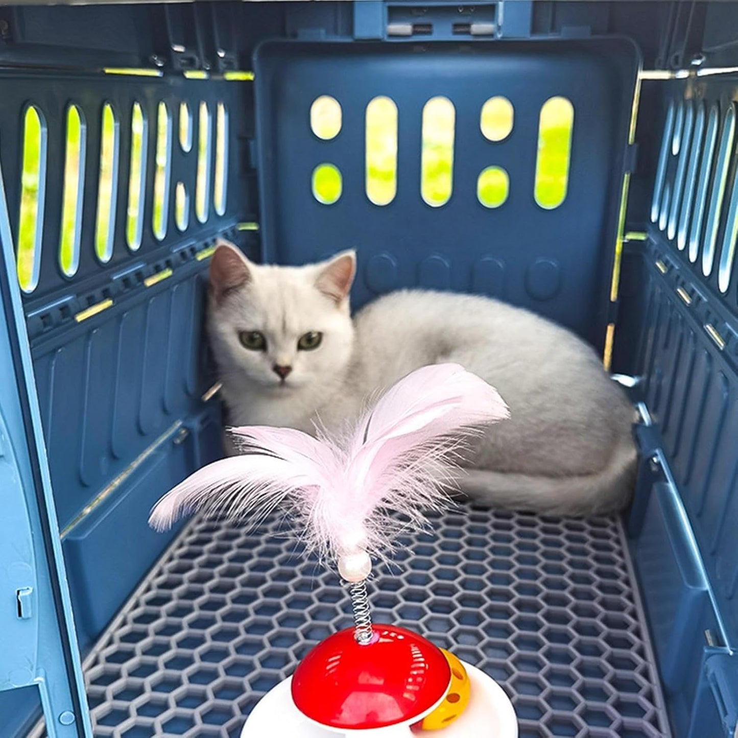 Airline pet Transport Crate Foldable pet cage Top Handle Travel Carrier Cat and Dog Airline Crate Foldable pet Carrier for Aircraft Top Handle pet Carrier for Going Out