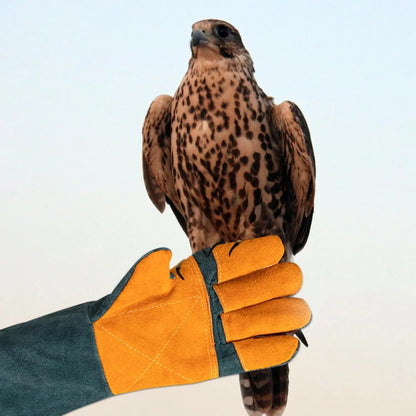 Cat Handling Gloves- Anti Bite Gloves, Animal Handling Gloves Bite Proof | Multipurpose Pet Glove Random Color