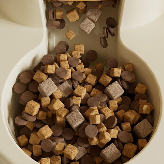 Automatic Cat Food Bowl | Large Capacity Feeder | Automatic Beverage Bottle | Double Bowl Feeder | Pet Cat Food Dispenser