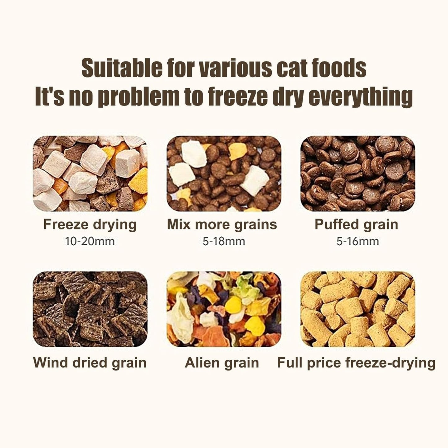 Automatic Cat Food Bowl | Large Capacity Feeder | Automatic Beverage Bottle | Double Bowl Feeder | Pet Cat Food Dispenser