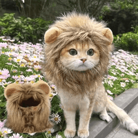 Funny Cat Lion Wig Costume, Halloween Cosplay, Dress Up Clothes, Cute Pet Hat for Small Dog, Kitten Party Accessories, Dog