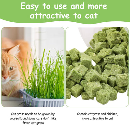 Cat Grass Treats for Cat, 120g Freezed Dried Snacks for Cats, Edible Cats Chew Toys, Kitten Treats for Cleaning Teeth, Remove Hair Ball