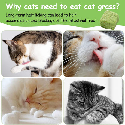 Cat Grass Treats for Cat, 120g Freezed Dried Snacks for Cats, Edible Cats Chew Toys, Kitten Treats for Cleaning Teeth, Remove Hair Ball