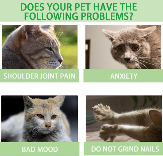 YegBong Catnip Spray/Cat Training Spray 100ml