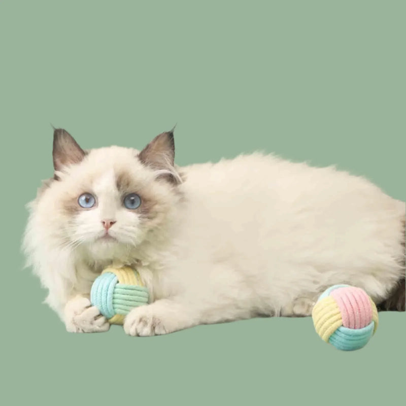 Cats Ball Toys Kitten Chasing and Playing Lightweight Exercise Ball Toys Random Color