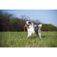 Dog Ball Toy Active Training LIKER Cord Soft Safe Foamed Polymer Non-toxic