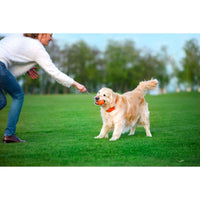 Dog Ball Toy Active Training LIKER Cord Soft Safe Foamed Polymer Non-toxic