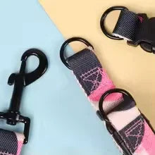 Dog Harness Set for Medium and Large Dog, Dog Webbing Leash, Dog Walking Leash