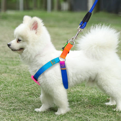 Dog Rainbow Harness Leash Durable No Pull Adjustable Safe Nylon Walking Leash for Small to Medium Dog