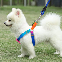 Dog Rainbow Harness Leash Durable No Pull Adjustable Safe Nylon Walking Leash for Small to Medium Dog