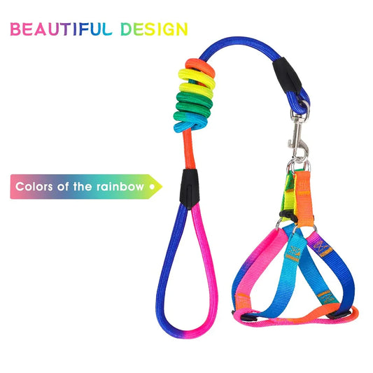 Dog Rainbow Harness Leash Durable No Pull Adjustable Safe Nylon Walking Leash for Small to Medium Dog