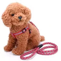 Dog Leash Collar Dog Leash Samoyed Lucky Retriever Dog Chain Gravid Dog Pet Supplies Small