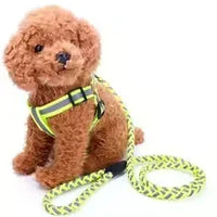 Dog Leash Collar Dog Leash Samoyed Lucky Retriever Dog Chain Gravid Dog Pet Supplies Small