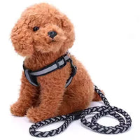 Dog Leash Collar Dog Leash Samoyed Lucky Retriever Dog Chain Gravid Dog Pet Supplies Small
