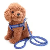 Dog Leash Collar Dog Leash Samoyed Lucky Retriever Dog Chain Gravid Dog Pet Supplies Small
