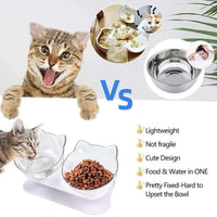 Elevated Cat Bowl, 15° Inclined Cat Double Bowl, Small Anti Spill Cat Food Bowl