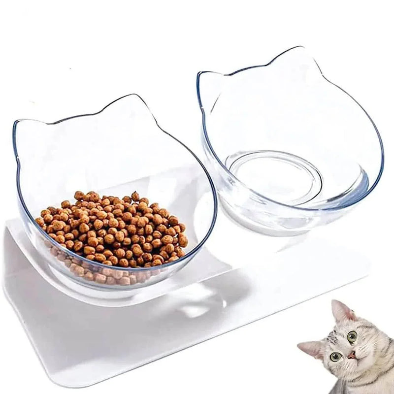 Elevated Cat Bowl, 15° Inclined Cat Double Bowl, Small Anti Spill Cat Food Bowl