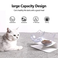 Elevated Cat Bowl, 15° Inclined Cat Double Bowl, Small Anti Spill Cat Food Bowl