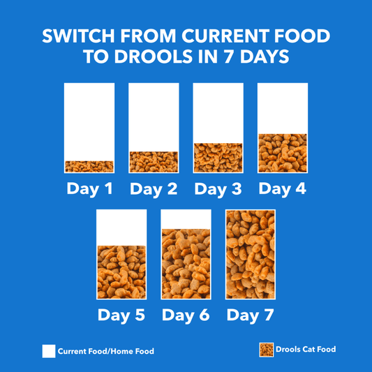 Drools Adult Real Chicken Dry Cat Food 3 kg