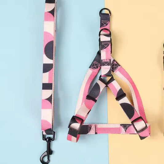 Dog Harness Set for Medium and Large Dog, Dog Webbing Leash, Dog Walking Leash
