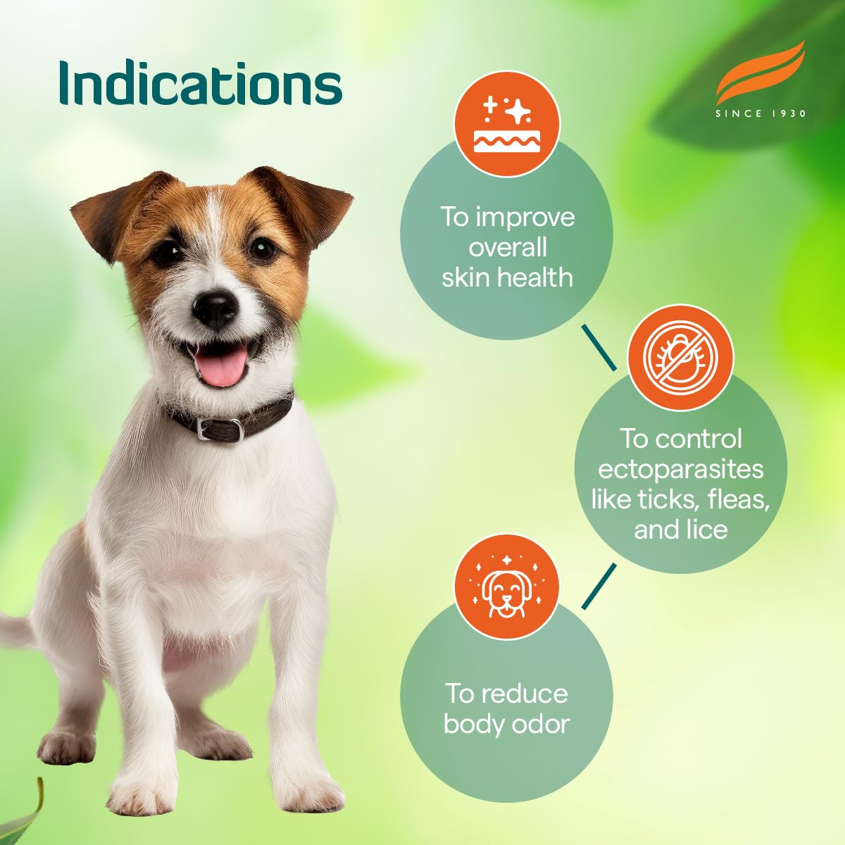 Himalaya Erina Ep Powder For Dogs And Cats, 150Gm