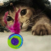 Colorful Feather Felt Ball Cat Toy for Cats & Kittens