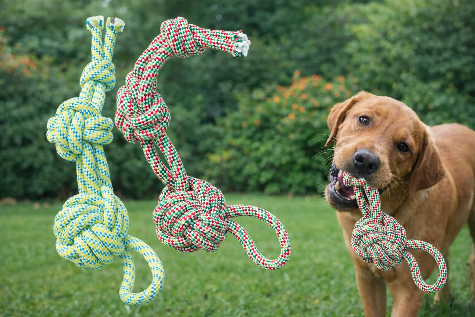 Knotted Rope Dog Toy (Durable and Interactive)