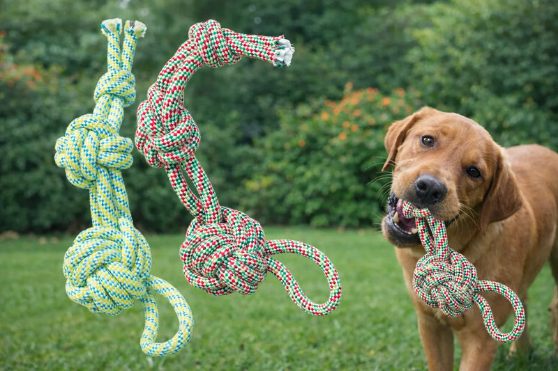 Knotted Rope Dog Toy (Durable and Interactive) 1 Pcs Random Color