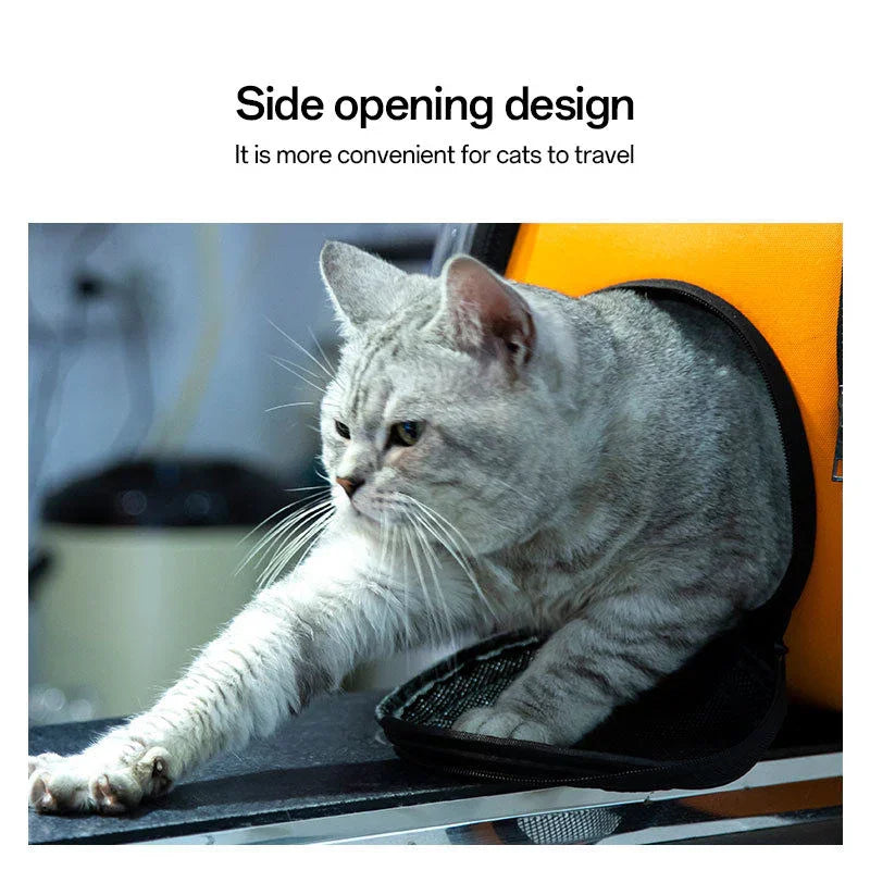 Large Space Capsule Pet Backpack for Cats and Puppy Dog Portable Carrier for Travel, Crossbody Backpack