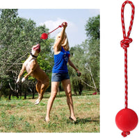 Linian 1 Pcs Dog Ball Rope Pet Rubber Chew Toy Ball with Rope, Interactive Rubber Ball for Catch, Throw(Red) 6.5cm