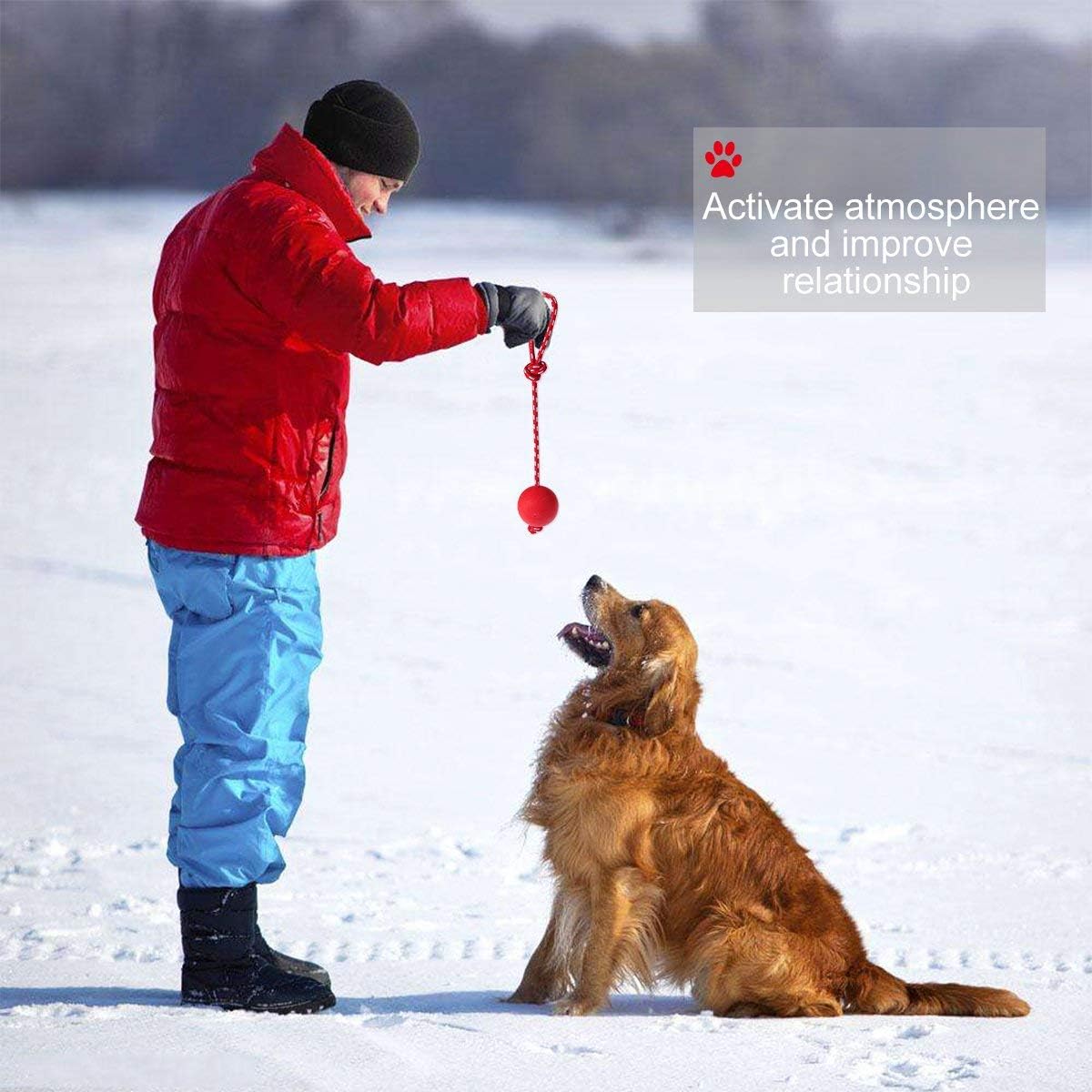 Linian 1 Pcs Dog Ball Rope Pet Rubber Chew Toy Ball with Rope, Interactive Rubber Ball for Catch, Throw(Red) 6.5cm