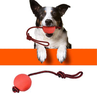Linian 1 Pcs Dog Ball Rope Pet Rubber Chew Toy Ball with Rope, Interactive Rubber Ball for Catch, Throw(Red) 6.5cm