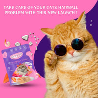 Moochie Non-Vegetarian Cat Foods Pouch for Adult Cats Hairball Care with Prawn 70g