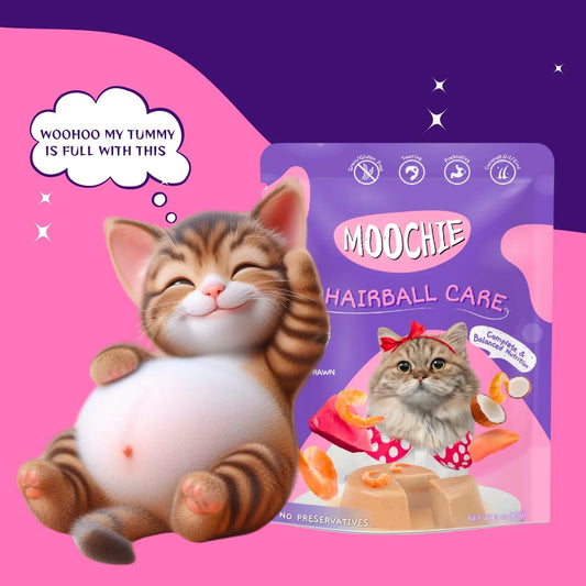 Moochie Non-Vegetarian Cat Foods Pouch for Adult Cats Hairball Care with Prawn 70g