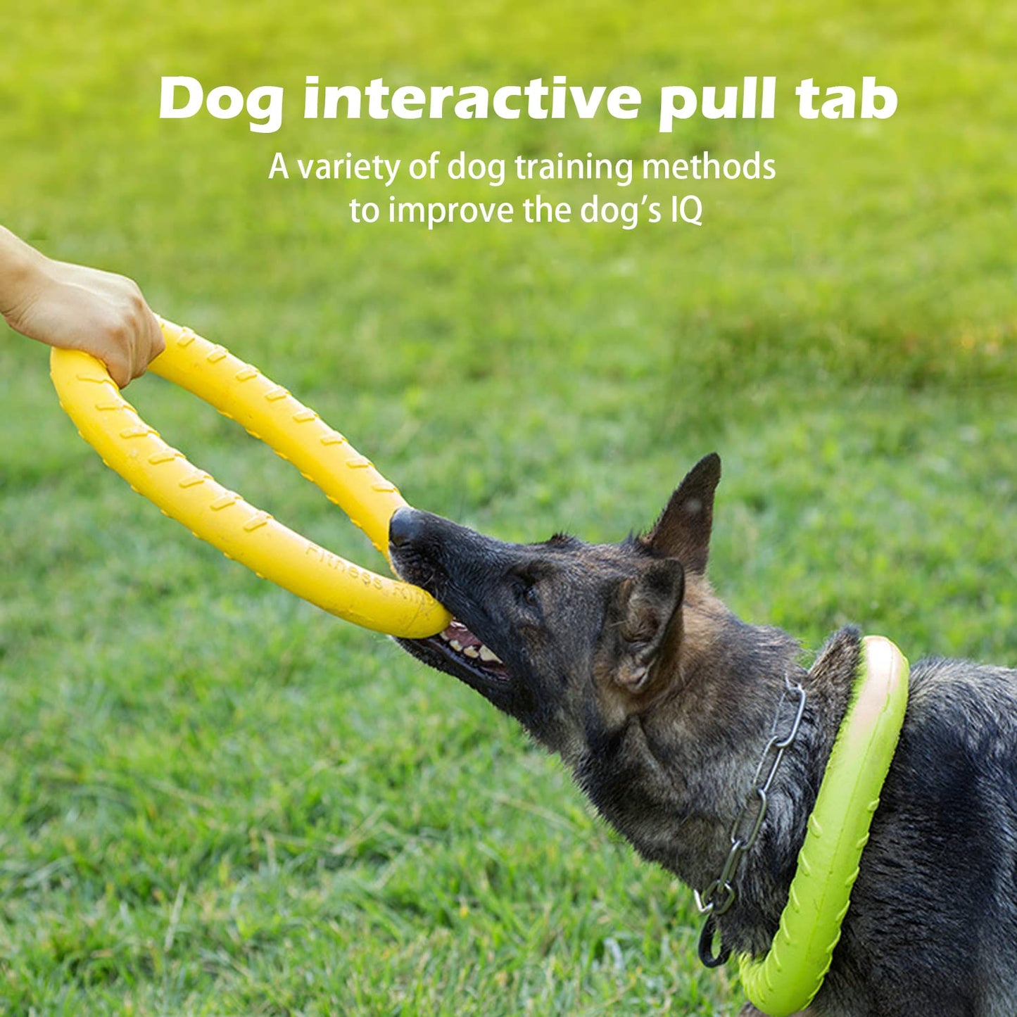 Natural Rubber Ring Dog Chew Toy, Floating Dog Ring Toy for Outdoor Fitness Floating Pull Toy