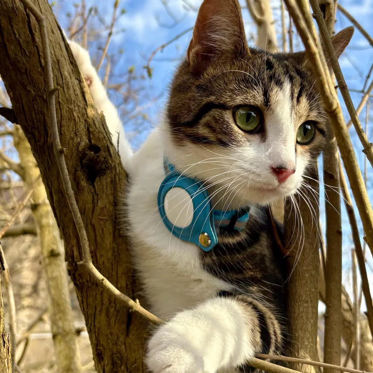 Reflective Collar with Waterproof Cat Pet Collar with Case Holder for Apple AirTag tracker