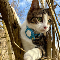 Reflective Collar with Waterproof Cat Pet Collar with Case Holder for Apple AirTag tracker