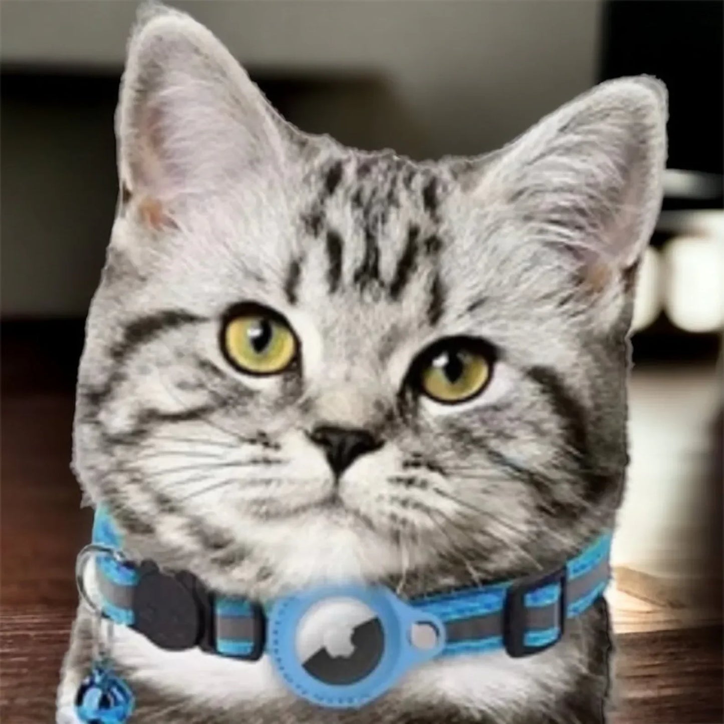 Reflective Collar with Waterproof Cat Pet Collar with Case Holder for Apple AirTag tracker