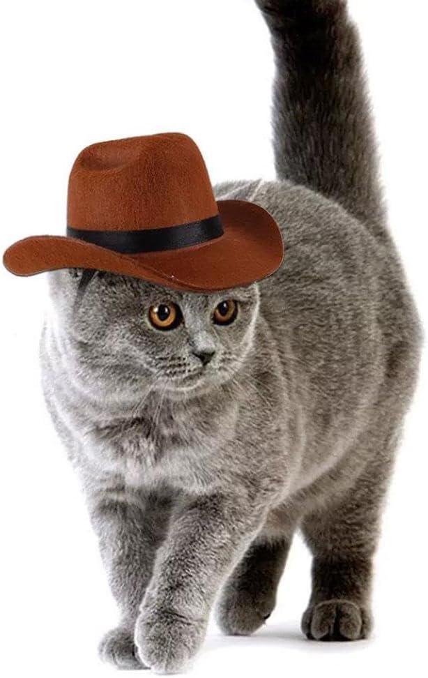 Adjustable Strap Western Style Cowboy Hat for Small & Medium Dogs Top Hat Headwear Cat and Dog Photo Props, Dog Costume Accessory