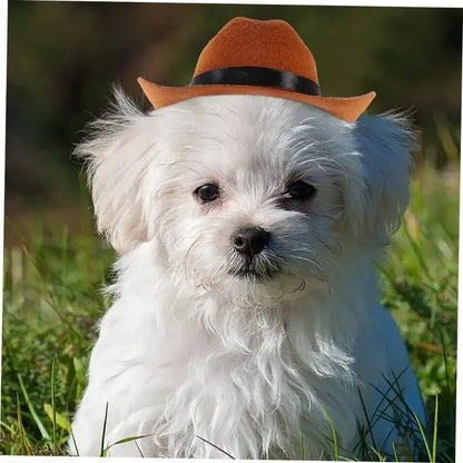 Adjustable Strap Western Style Cowboy Hat for Small & Medium Dogs Top Hat Headwear Cat and Dog Photo Props, Dog Costume Accessory